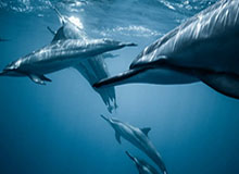 开云体育：开启运动科技的新纪元