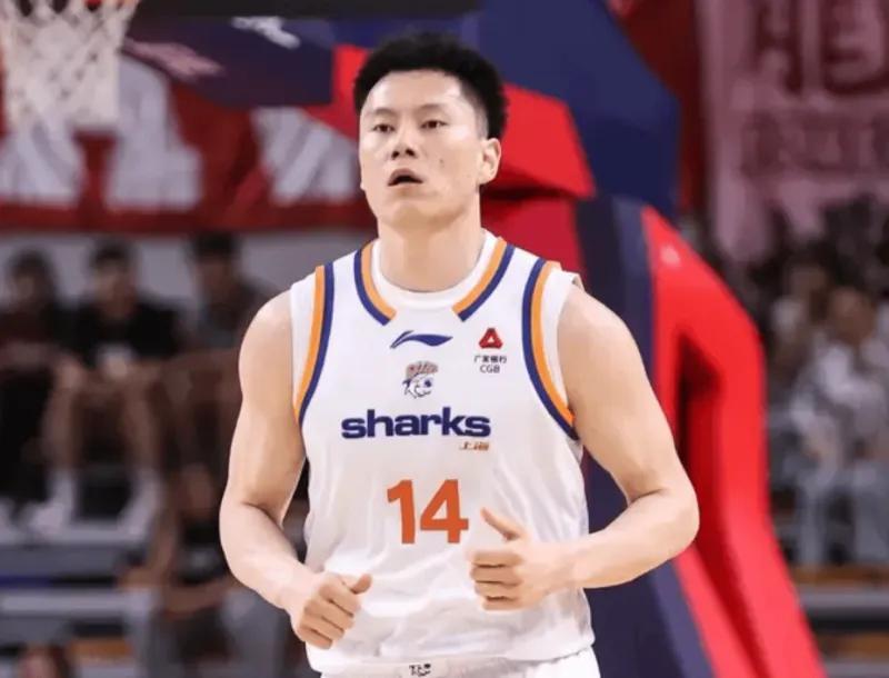 b体育app-CBA最佳阵容3人成大赢家！李弘权逐步提升，庞峥麟+徐昕获认可！